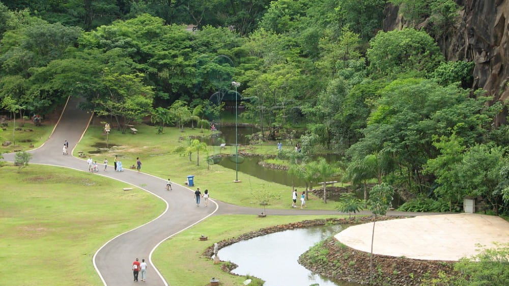 Parque Curupira