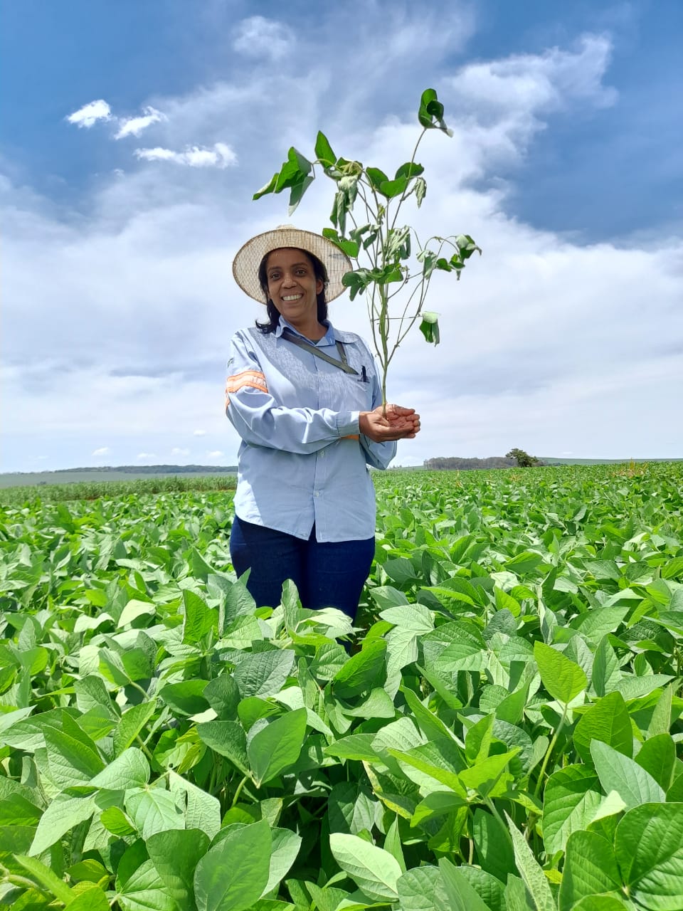 Rosicler Alves dos Reis - Técnica Agrícola