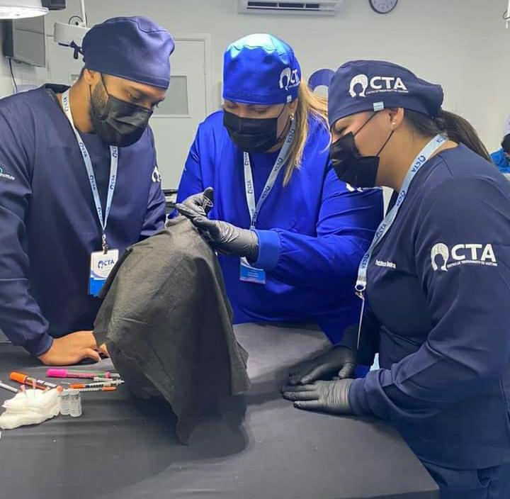 No curso de harmonização facial