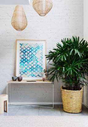 Palmeira-ráfia: Originária da china, essa planta lembrando o bambu. De crescimento lento, ela traz um toque especial ao ambiente e, muito fácil de ser cuidada, ela deve ser cultivada à meia-sombra e regada semanalmente