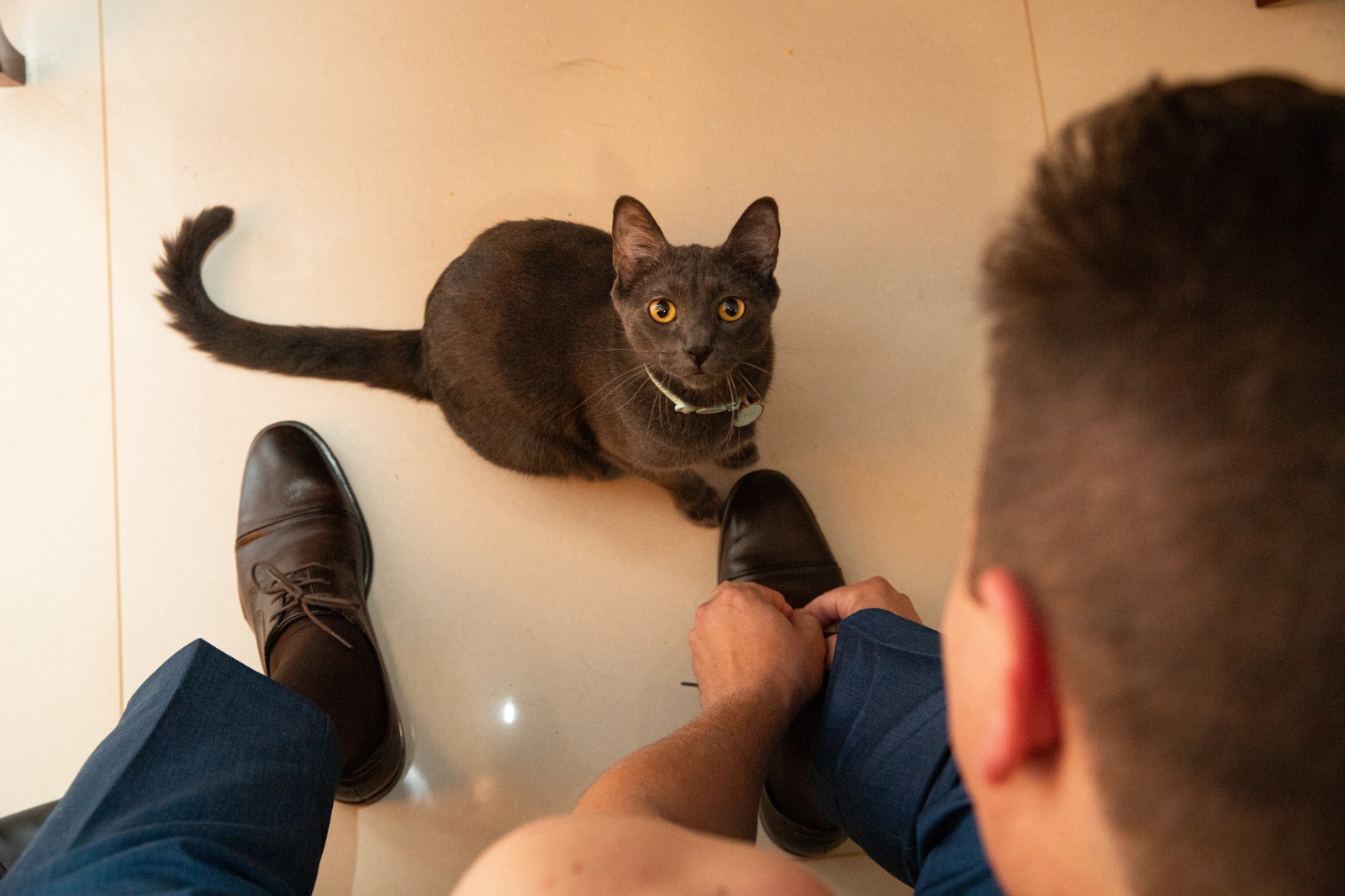 O olhar curioso do fiel companheiro enquanto o noivo se prepara