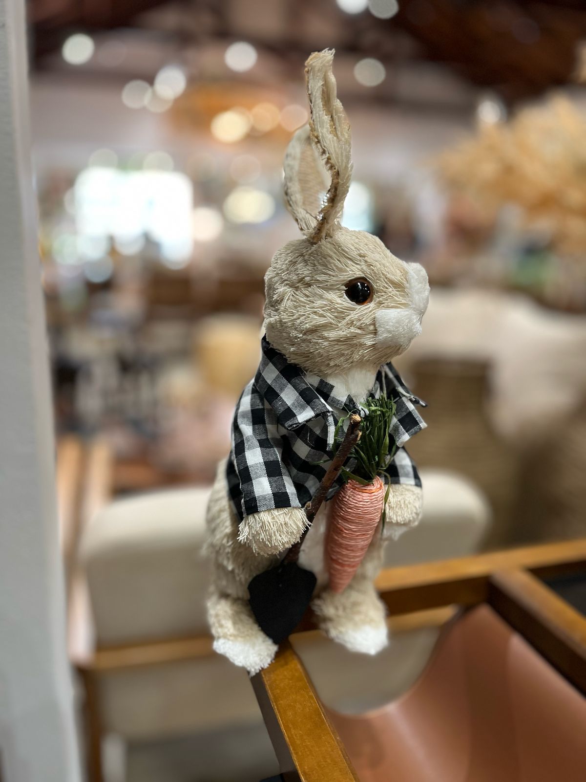 Coelhos de todos os estilos