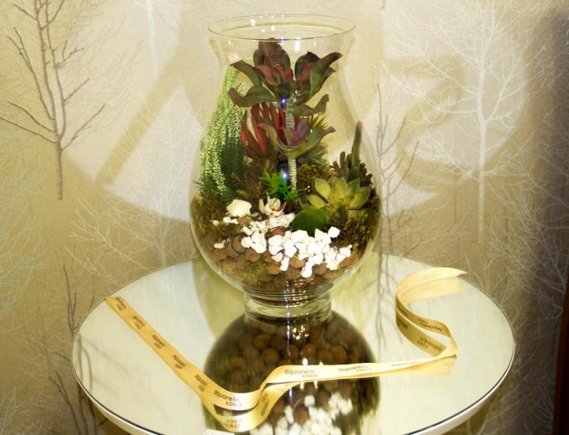 Terrários de diversos modelos dão um charme especial aos ambientes