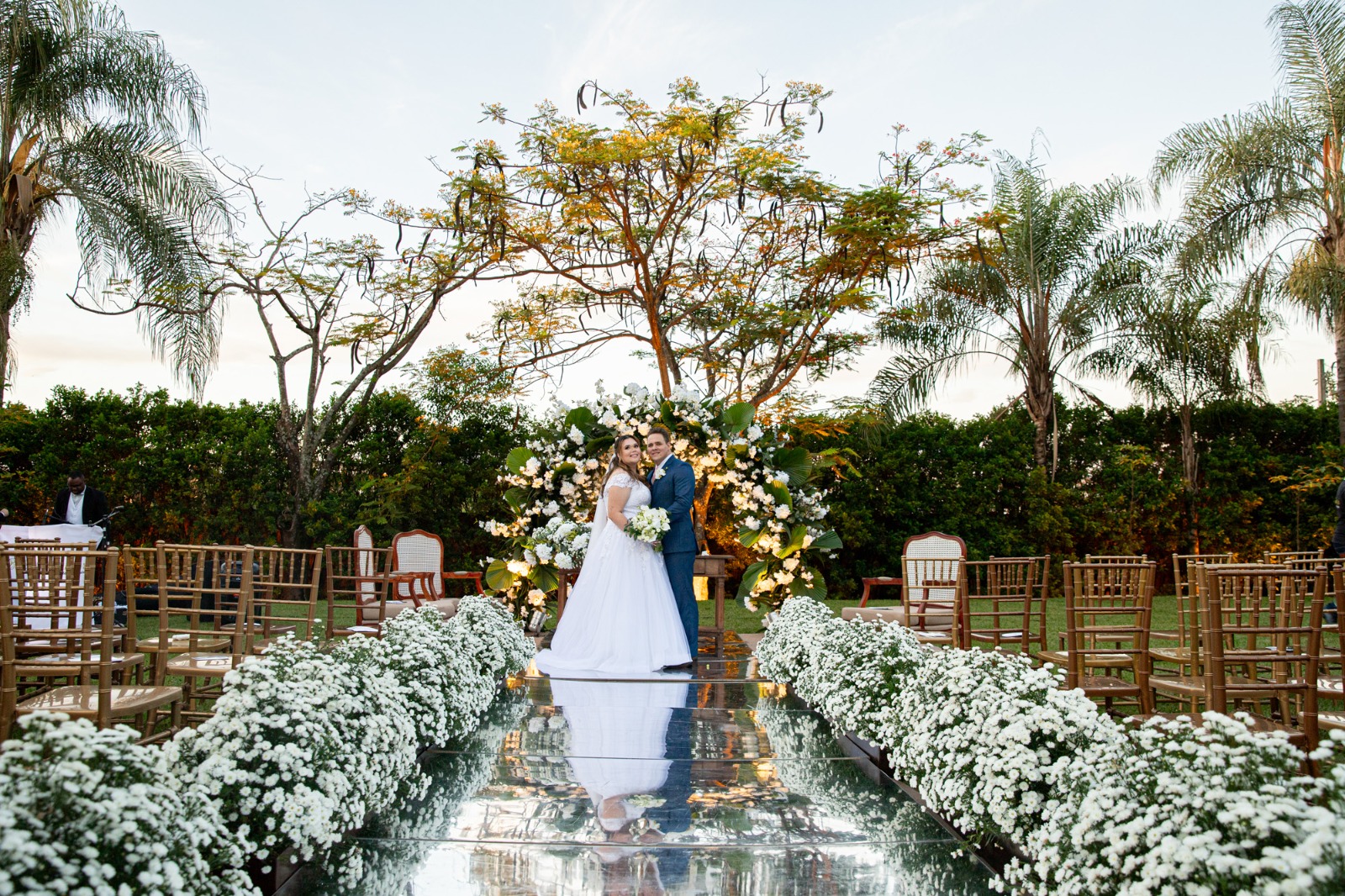 No caminho, flores de Áster Mariana