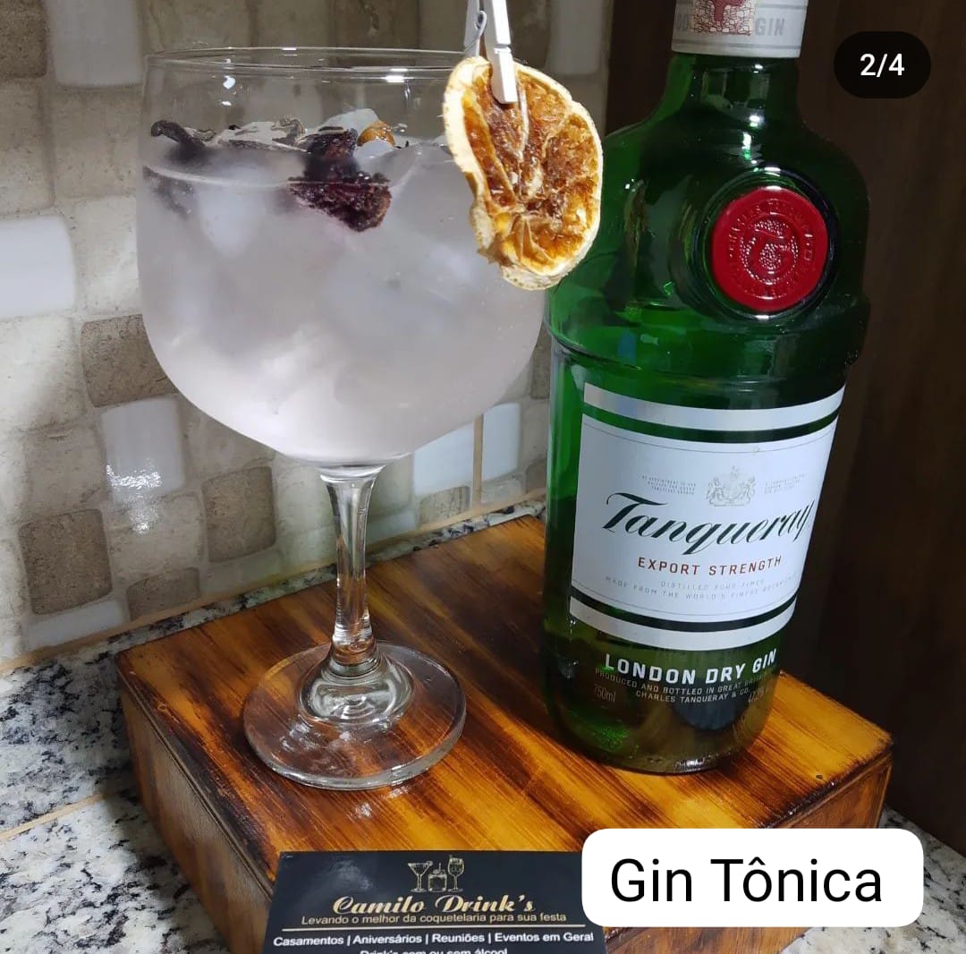 Gin Tônica