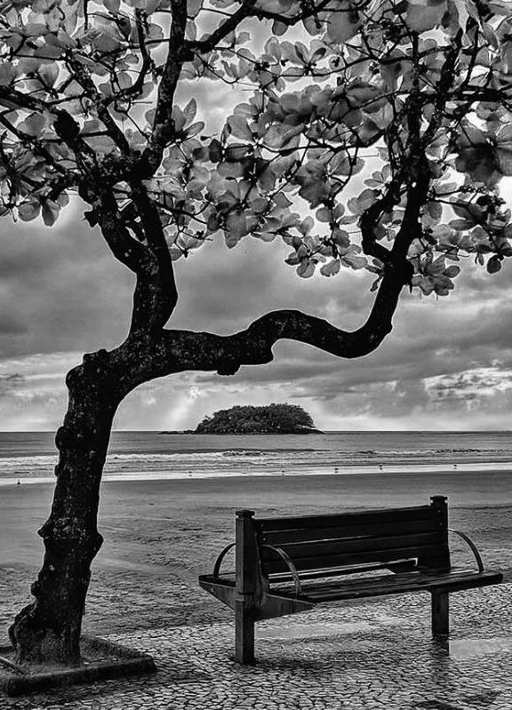 Praia Central e ao fundo a Ilha das Cabras