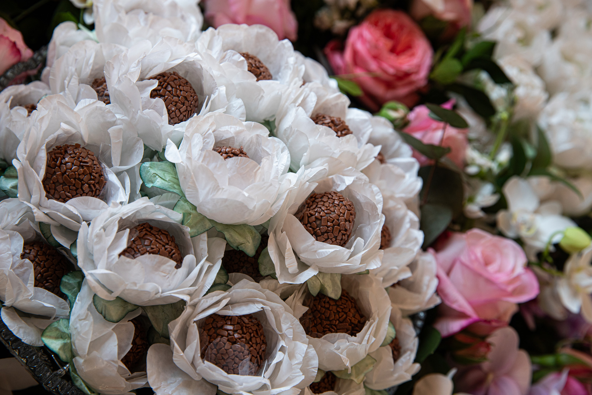 harmonizava com o cenário perfeito de um jardim