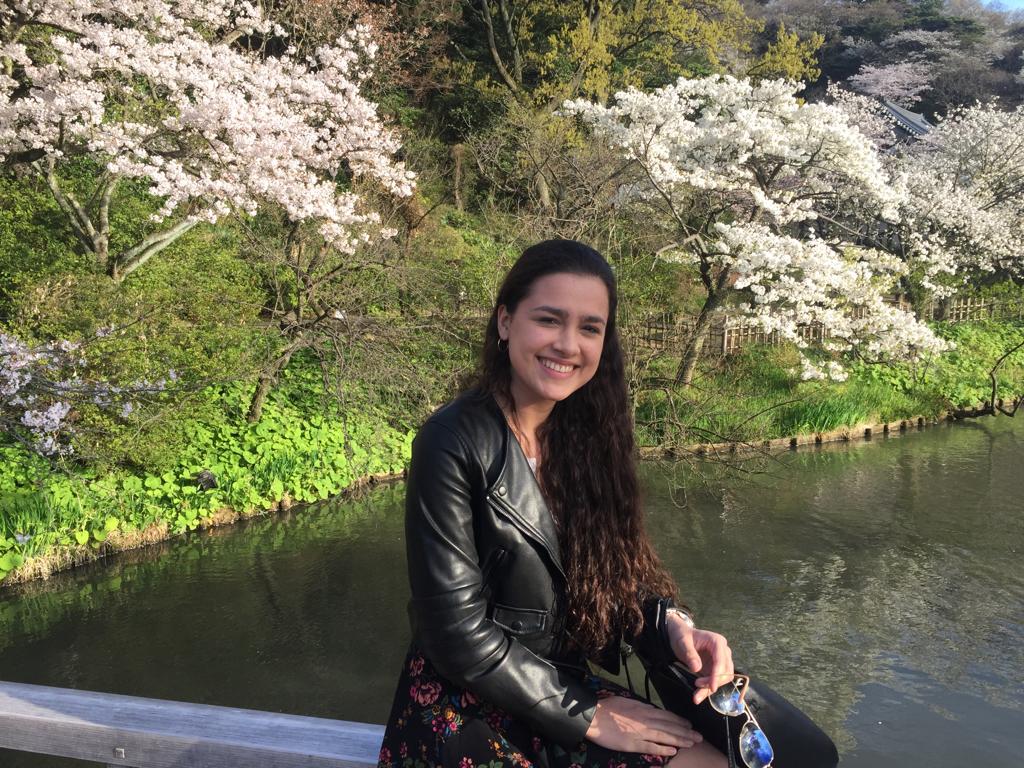 Visitando as flores de cerejeiras na primavera no Japão