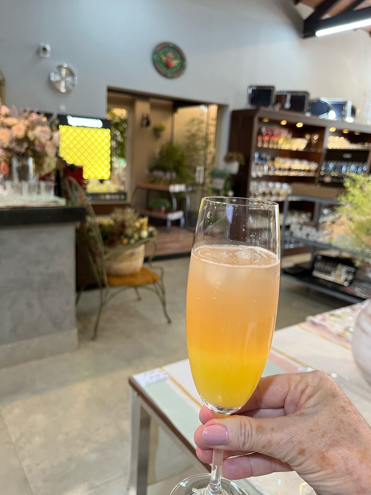 Drink Mimosa