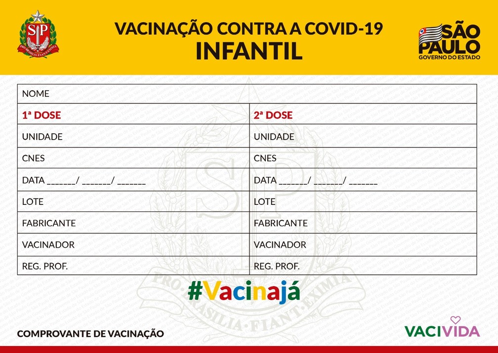 Carteirinha de vacinação infantil estado São Paulo