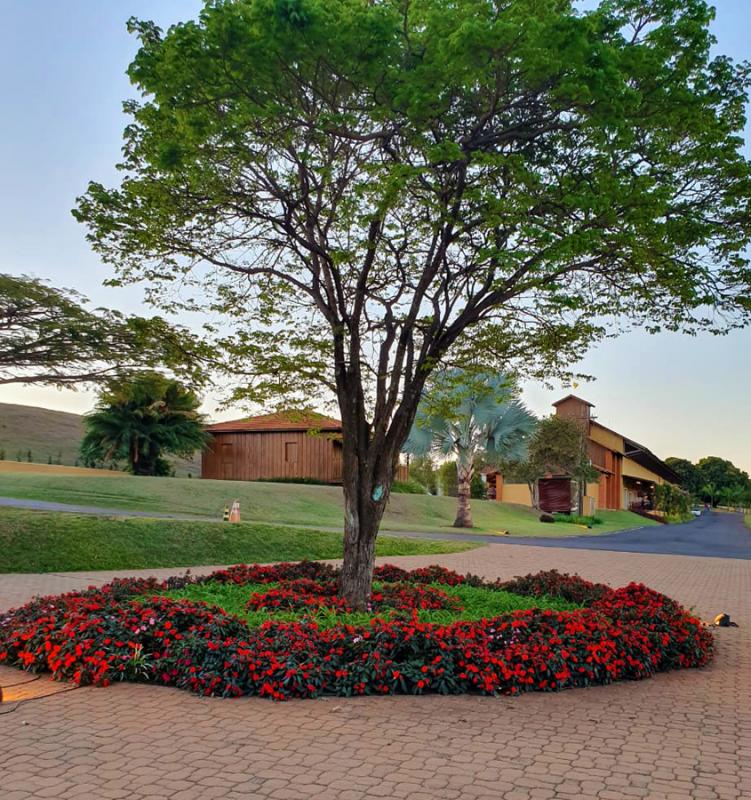 O trajeto da Capela para o salão de festas