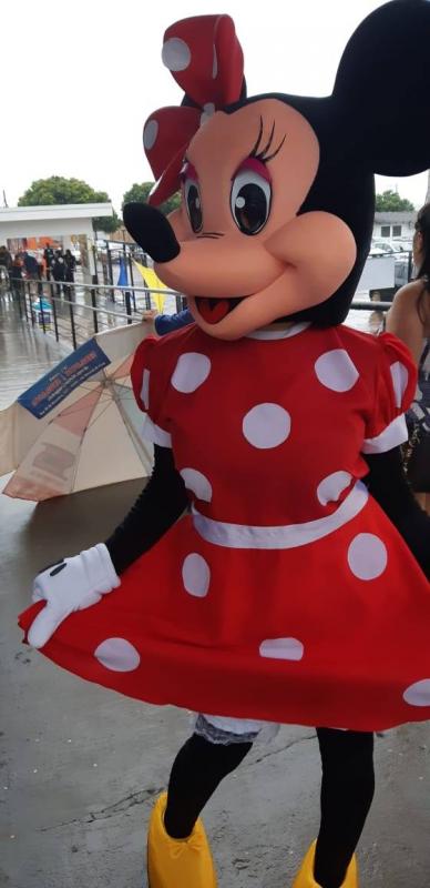 Minnie, chegada triunfal