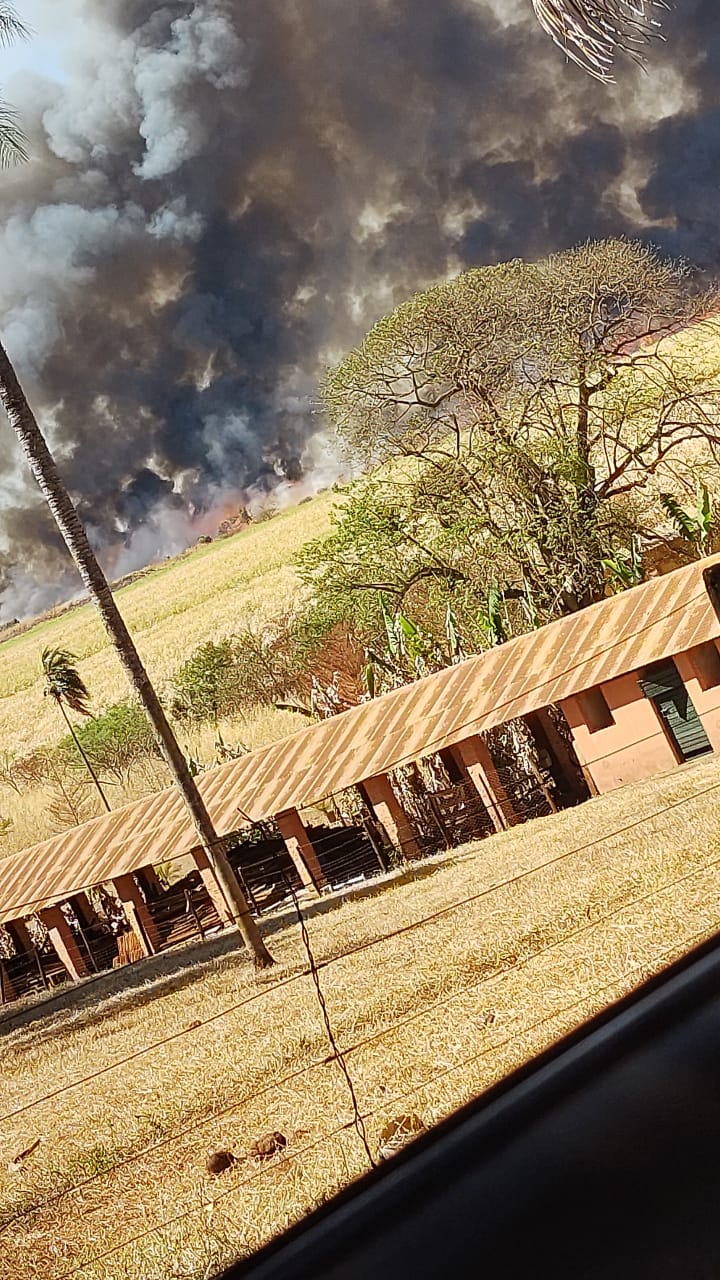 Caminhão pegou fogo próximo pedágio Guará / Imagem WhatsApp