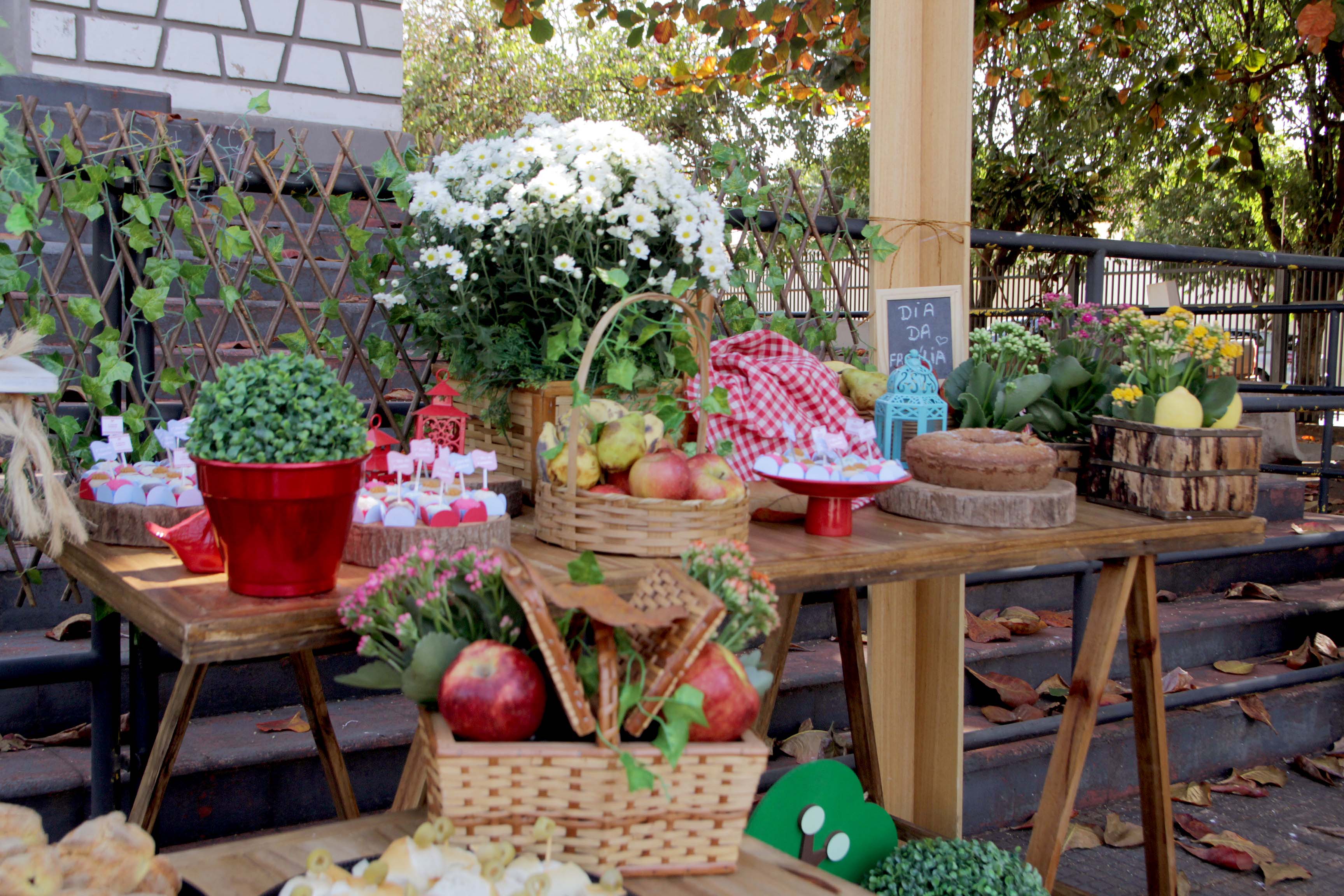 Um carinho para os olhos