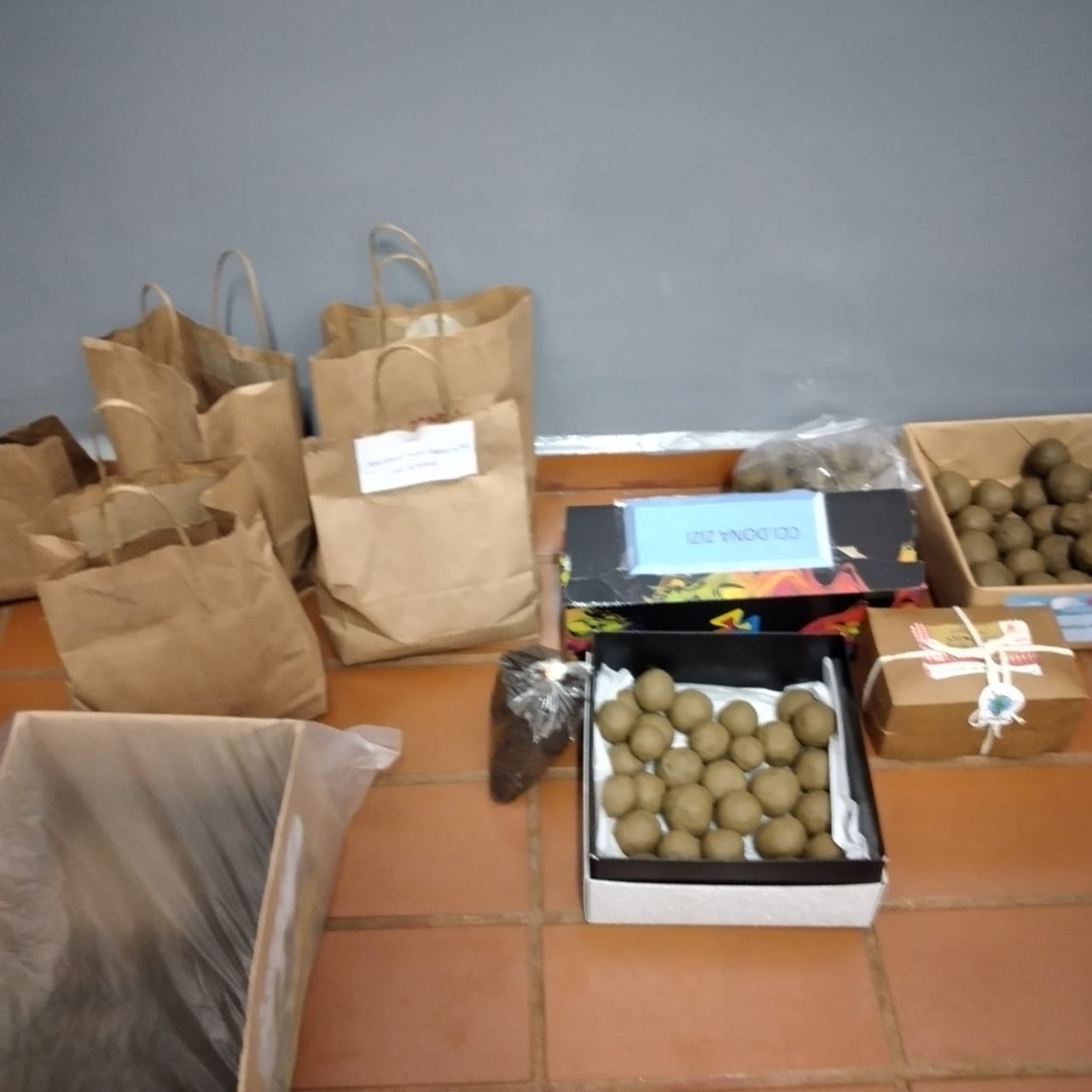 Foram tilizados 10 quilos de argila e diferentes tipos de sementes