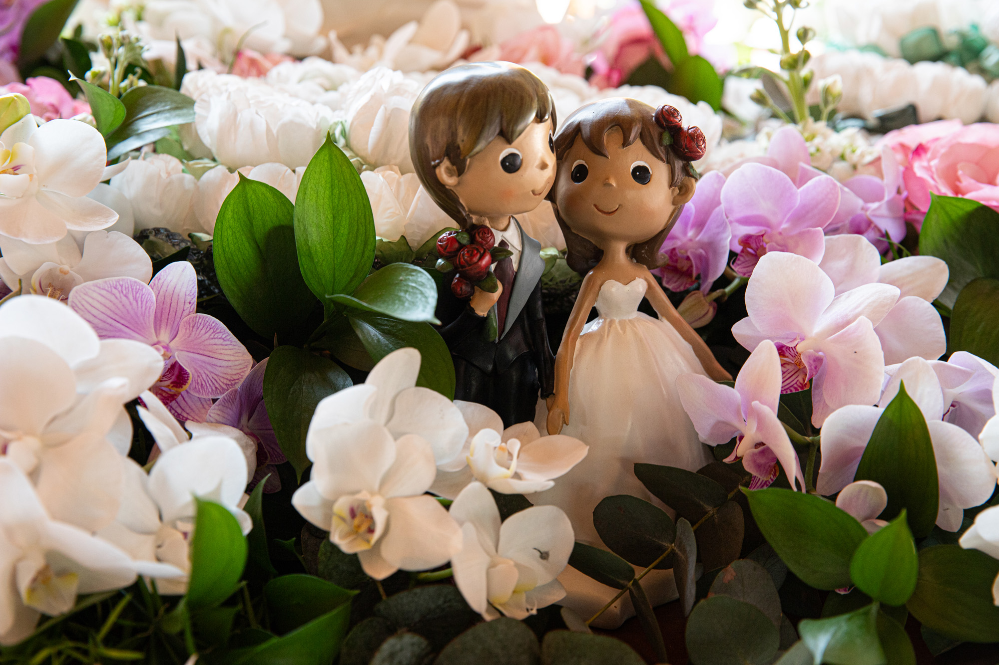 ,,, onde cada detalhe...