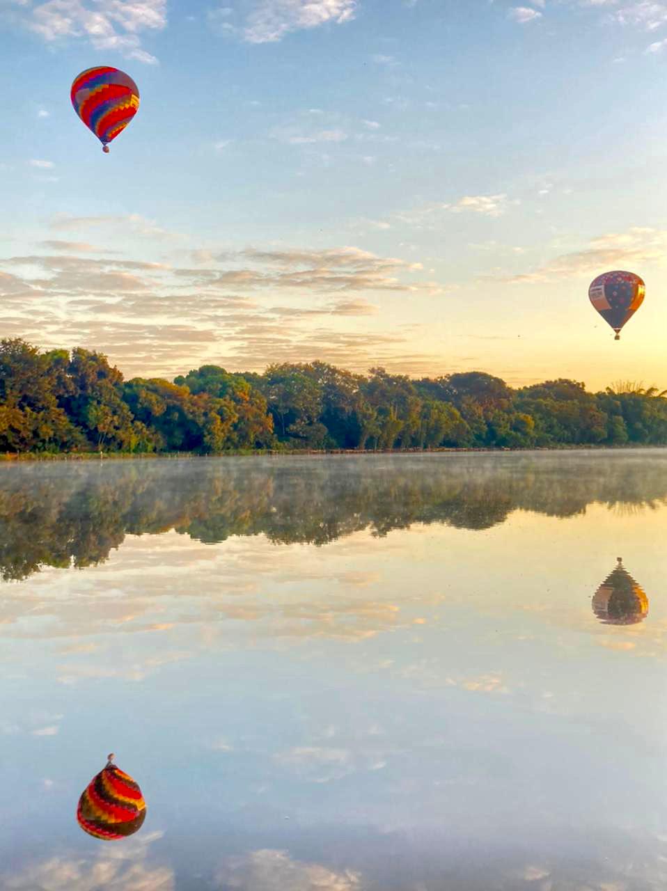 O objetivo é lançar as sementes o mais próximo possível das nascentes