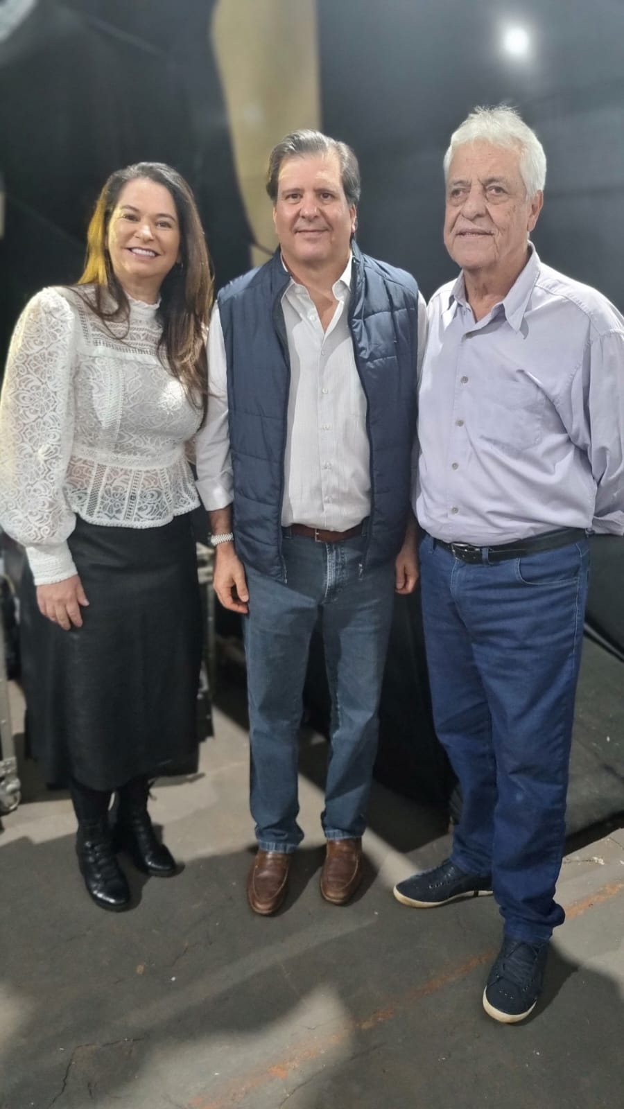 Vera Martins Guedes, Luiz Eduardo Junqueira Figueiredo, Wagner Schmidt