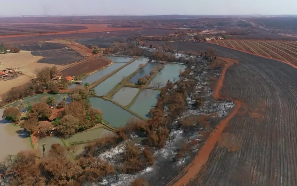 Incêndio na última semana em Morro Agudo - Imagem G1