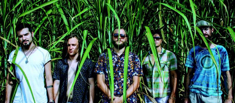 Canavieira (rock rural)