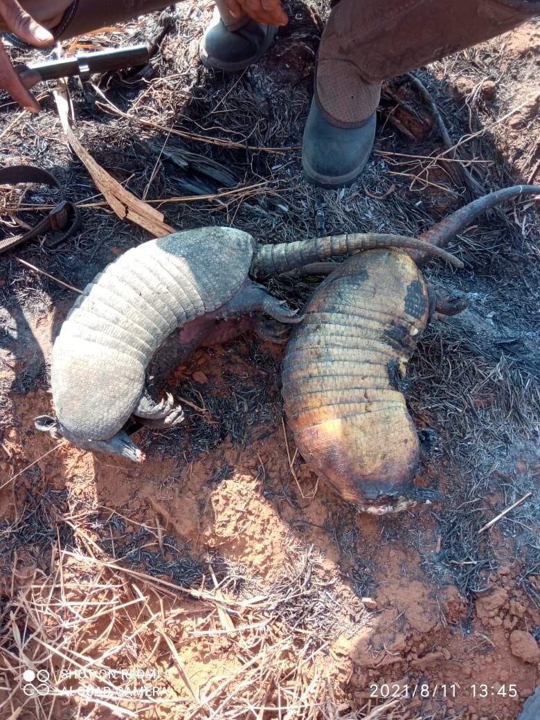 Imagem WhatsApp de incêndio ocorrido na região