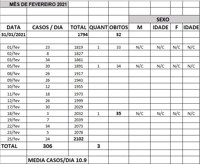 Fevereiro : média diária de casos 10.9