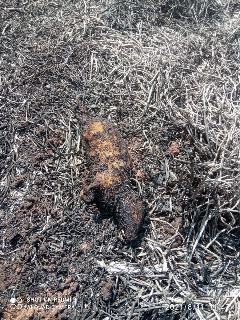 Imagem WhatsApp de incêndio ocorrido na região